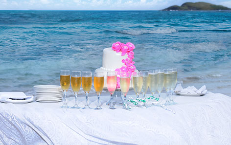 Champagne Glasses on Maria Island