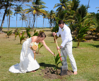 DSC_1566 tree planting