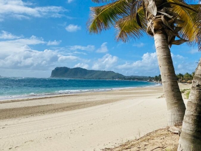 Travel Insurance