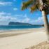 Travel Insurance