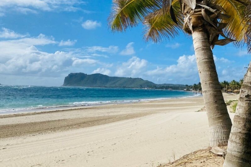 Travel Insurance