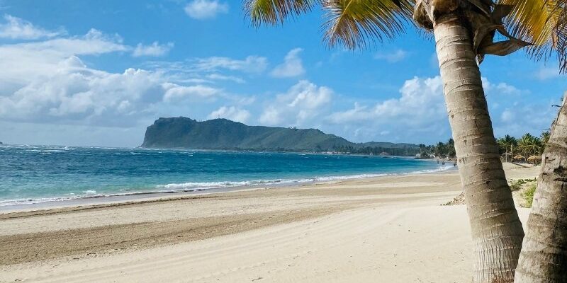 Travel Insurance