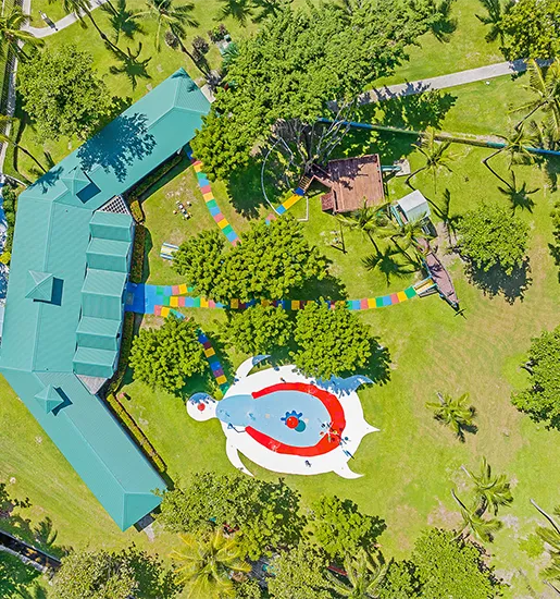 drone_Cocoland_kidz_klub_turtle_DW_44 copy drone_Cocoland_kidz_klub_turtle_DW_44 copy