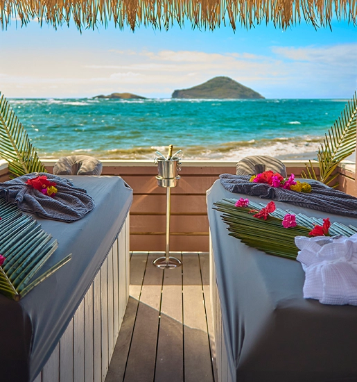 Spa_Services_anim_big_image